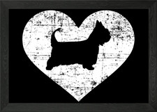 Australian Silky Terrier