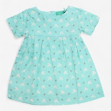 Little Green Radicals, Flying