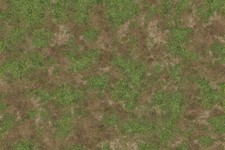 Tundra Grass: Wargaming /