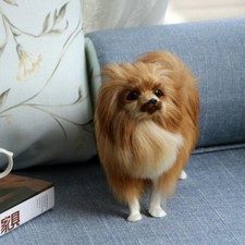 Life like Realistic Pomeranian Dog Model Toys Plush Doll Animal Craft Ornament