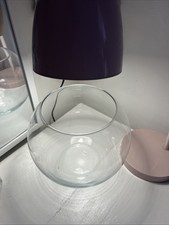 Large Transparent Glass Fish