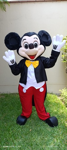 Mouse character mascot costume - mouse,