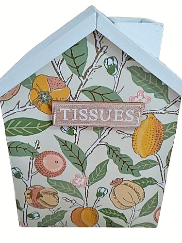 Tissue box decorative william - tissue,