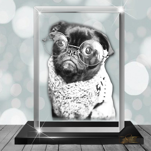Personalised pet photo - pet, 3d