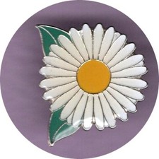 RSPB PIN BADGES - Do you want