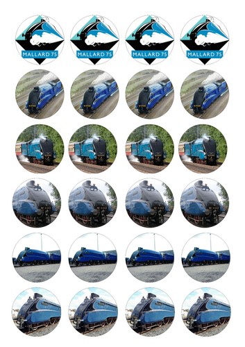 Edible mallard steam trains - mallard,