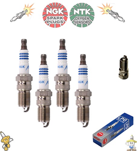 Pack new genuine - genuine, ngk