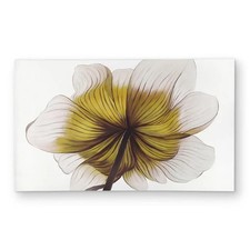 Begin home decor - begin,