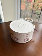 Pandora Charm Bracelet &