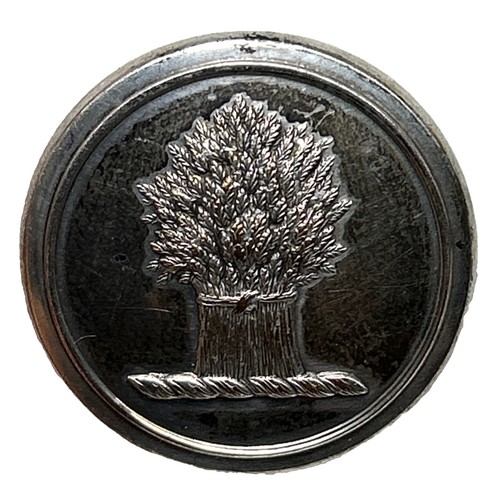 Antique livery button silver - livery,
