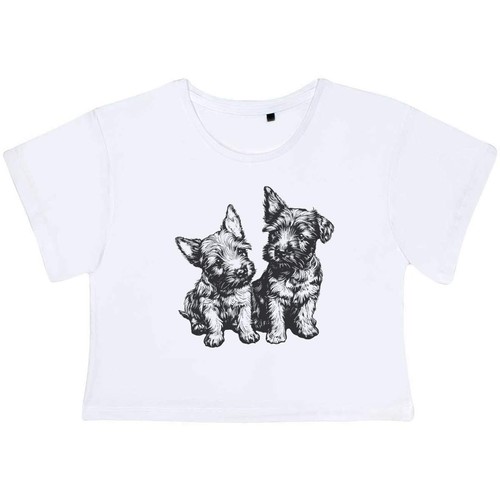 Scottish terrier puppies - 'scottish, puppies'
