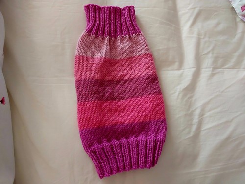 Hand knitted dog jumper - hand,