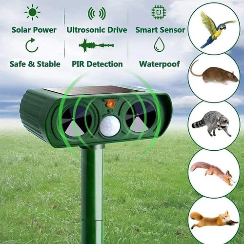 Outdoor led light - outdoor,