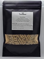 Snowflake Shrimp and Snail