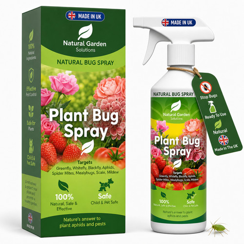 Organic plant bug spray - plant,
