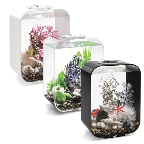 Life aquarium with multi - life, 15