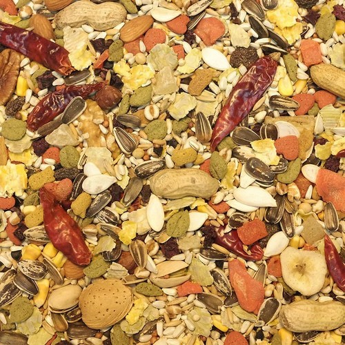 Higgins sunburst parrot food - higgins,