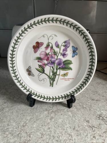 Lathyrus odoratus sweet - sweet, pea