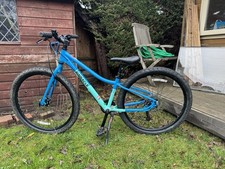 Pinnacle Kauri 26 Mountain