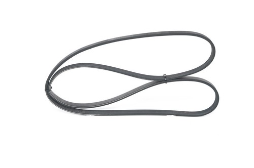 Ribbed belt bosch - belt, 1
