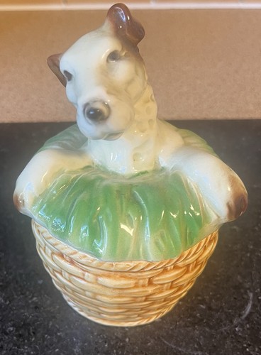 Small sweet wire - wire, terrier