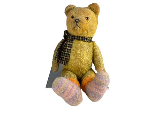 Old collectors teddy bear - old,