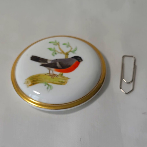 Small white china porcelain - china,
