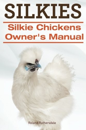 Silkies silkie chickens - silkie,