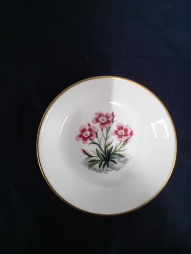 Hand painted royal - hand,