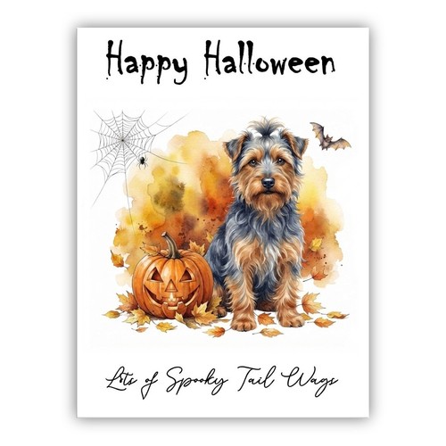 Australian terrier dog - australian,