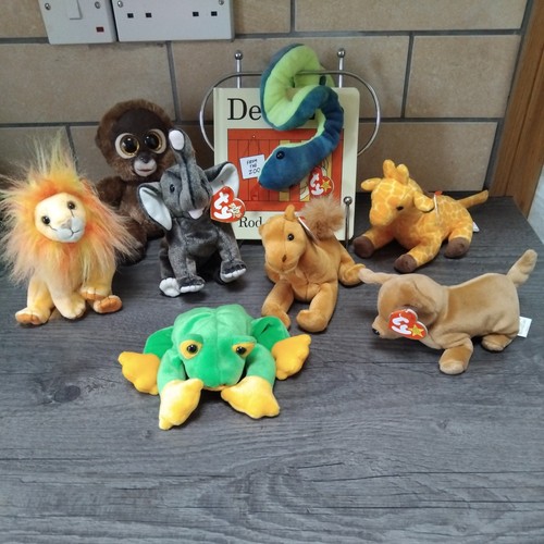 Eys story sack resource - story,