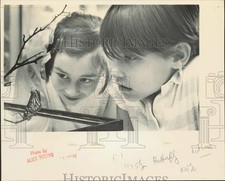 1984 Press Photo Children view