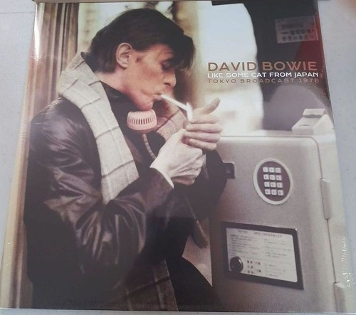 David bowie like some - -, cat