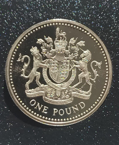 1998 proof one pound - one, coin