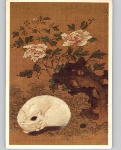 Rock and peonies - peonies, sleeping