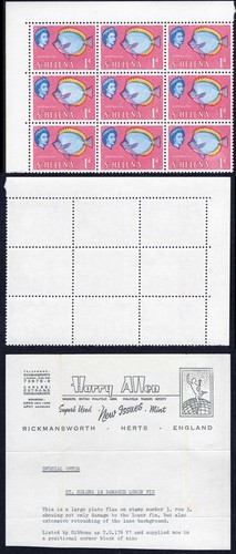 Helena sg176 variety - st,