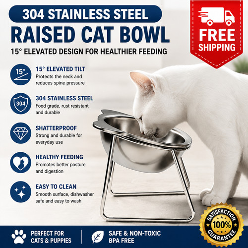 Raised cat bowl - cat,