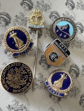 Costume Jewellery Badges Pin Teachers Dance Silver Bronze Owen IRNA