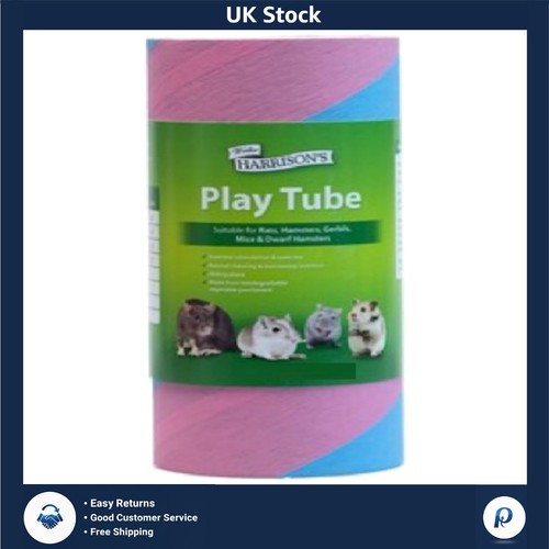 Fun small animal exercise - fun,