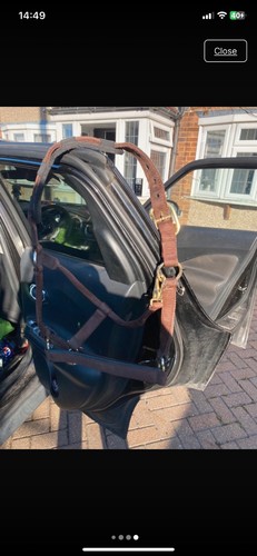 Equipride brown leather padded - equipride,