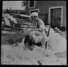 VINTAGE Magic Lantern Slide BED TEASLING THE BLACK FOREST C1935 PHOTO GERMANY