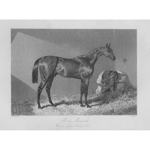 The merry monarch racehorse - the,