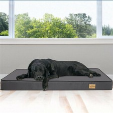 Jumbo Orthopedic Dog Bed
