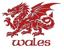 Welsh Dragon WALES Mystical