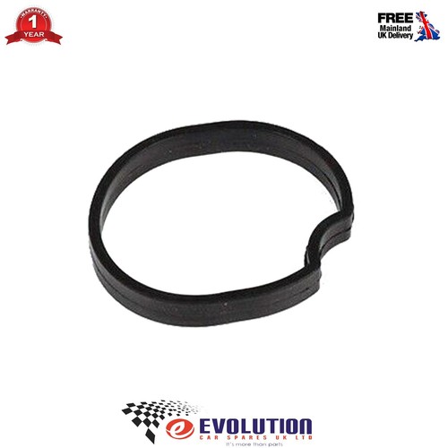 Thermostat housing gasket - housing, 1x