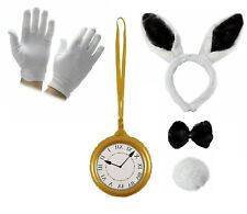  Wonderland WHITE RABBIT