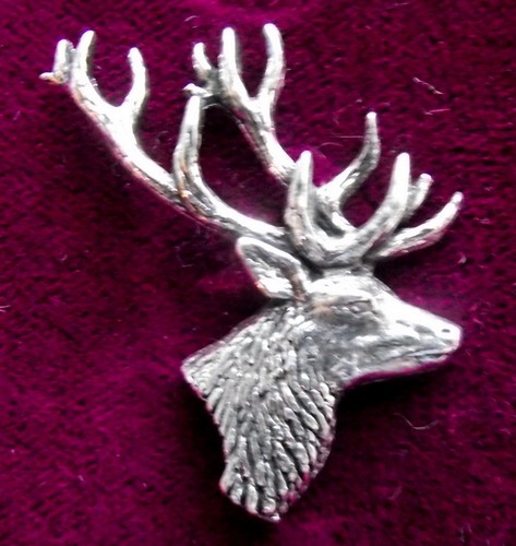 Scottish red deer - red,