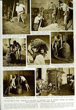 Old Vintage Print 1950 Wine Press Spain Grapes Jerez Hydraulic Crushing 20th