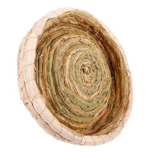 Budgie breeding nest bird - breeding,
