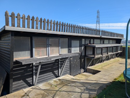 Racing pigeon shed - ,,